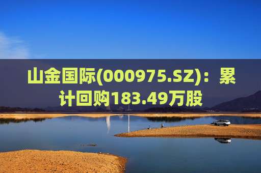山金国际(000975.SZ)：累计回购183.49万股