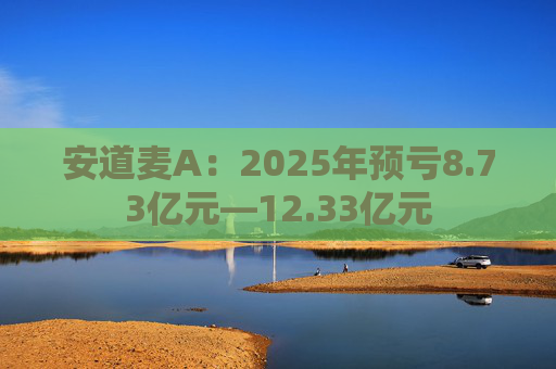 安道麦A：2025年预亏8.73亿元—12.33亿元