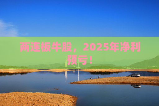 两连板牛股，2025年净利预亏！