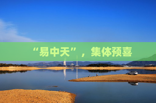 “易中天”，集体预喜