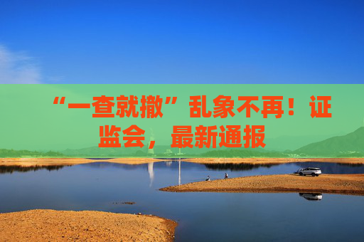 “一查就撤”乱象不再！证监会，最新通报