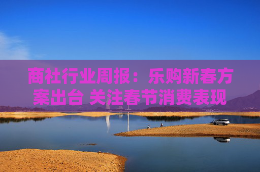 商社行业周报：乐购新春方案出台 关注春节消费表现