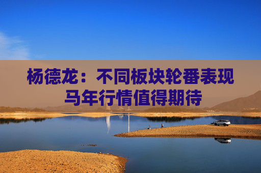 杨德龙：不同板块轮番表现 马年行情值得期待  第1张