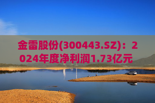 金雷股份(300443.SZ):2024年度净利润1.73亿元 拟10派0.7元