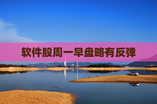 软件股周一早盘略有反弹