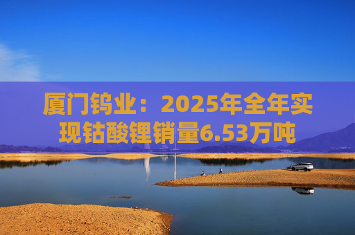 厦门钨业:2025年全年实现钴酸锂销量6.53万吨