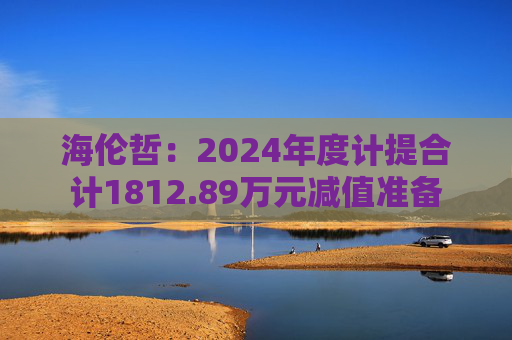 海伦哲：2024年度计提合计1812.89万元减值准备