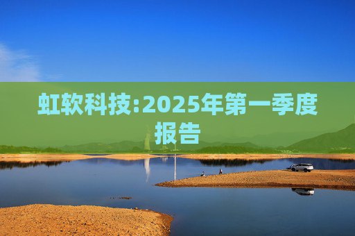 虹软科技:2025年第一季度报告
