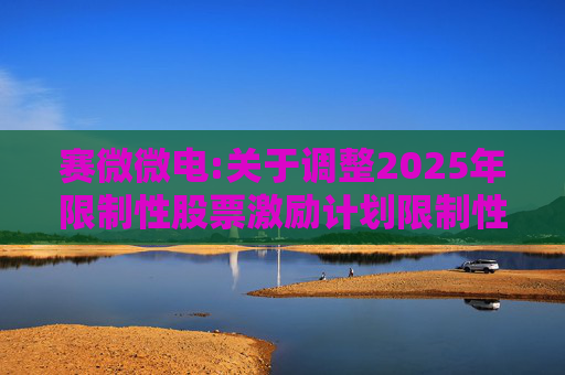 赛微微电:关于调整2025年限制性股票激励计划限制性股票授予价格的公告