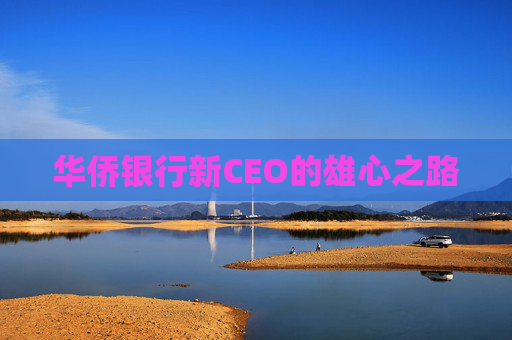 华侨银行新CEO的雄心之路