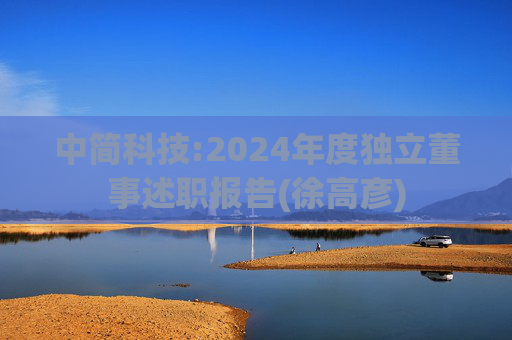 中简科技:2024年度独立董事述职报告(徐高彦)