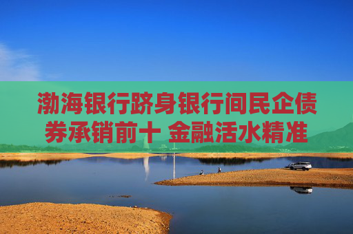 渤海银行跻身银行间民企债券承销前十 金融活水精准灌溉民营经济