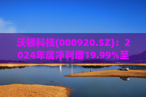 沃顿科技(000920.SZ)：2024年度净利增19.99%至1.98亿元 拟10派1.47元  第1张