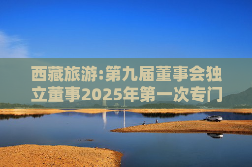 西藏旅游:第九届董事会独立董事2025年第一次专门会议决议