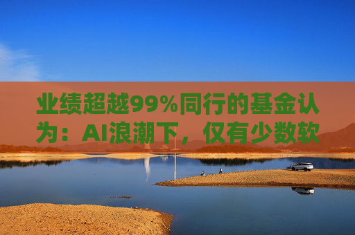 业绩超越99%同行的基金认为：AI浪潮下，仅有少数软件公司能存活