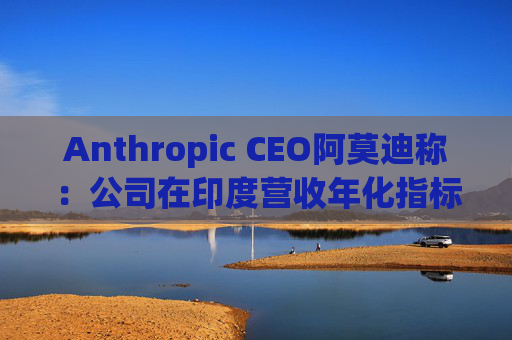 Anthropic CEO阿莫迪称：公司在印度营收年化指标4个月内翻倍
