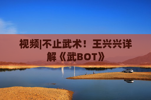 视频|不止武术！王兴兴详解《武BOT》