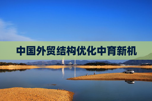 中国外贸结构优化中育新机