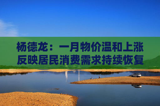 杨德龙：一月物价温和上涨反映居民消费需求持续恢复