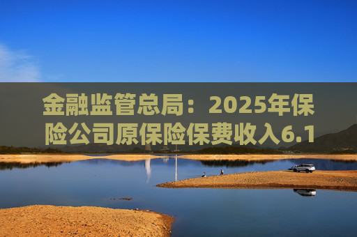 金融监管总局：2025年保险公司原保险保费收入6.1万亿元 同比增长7.4%  第1张