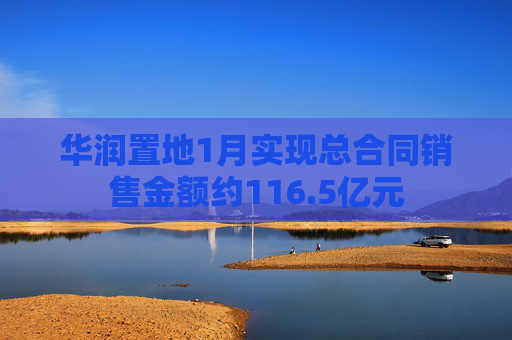 华润置地1月实现总合同销售金额约116.5亿元 第1张 华润置地1月实现总合同销售金额约116.5亿元 第1张