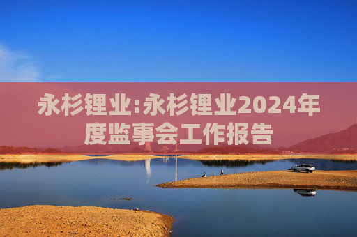 永杉锂业:永杉锂业2024年度监事会工作报告  第1张