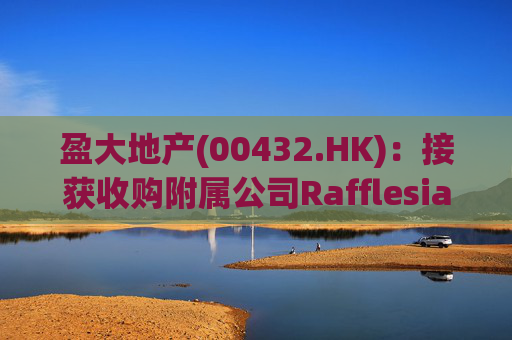 盈大地产(00432.HK):接获收购附属公司Rafflesia的要约 代价4亿美元