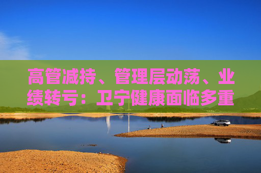 高管减持、管理层动荡、业绩转亏：卫宁健康面临多重压力