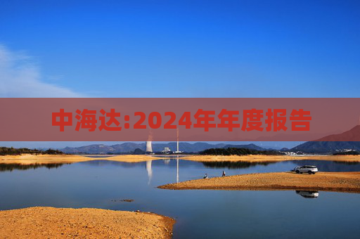 中海达:2024年年度报告