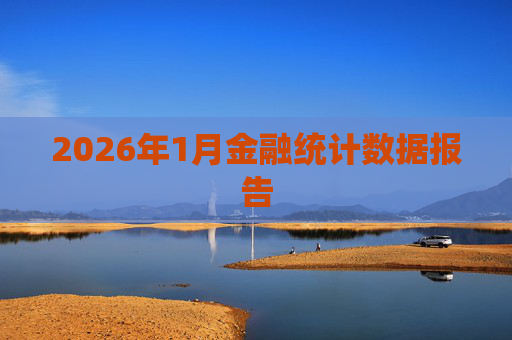 2026年1月金融统计数据报告