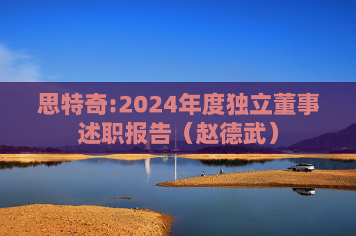 思特奇:2024年度独立董事述职报告（赵德武）