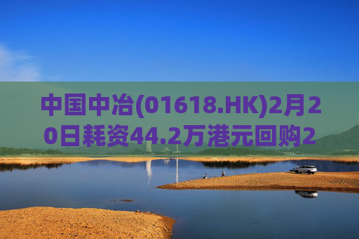 中国中冶(01618.HK)2月20日耗资44.2万港元回购23.7万股