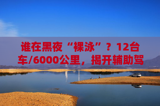 谁在黑夜“裸泳”？12台车/6000公里，揭开辅助驾驶的夜盲真相