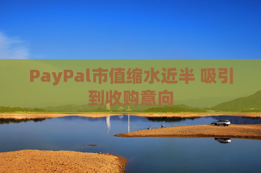 PayPal市值缩水近半 吸引到收购意向
