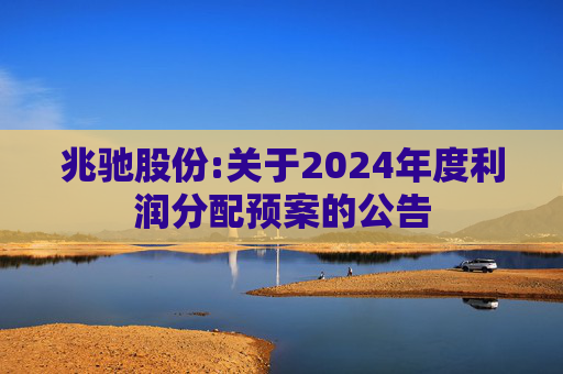 兆驰股份:关于2024年度利润分配预案的公告