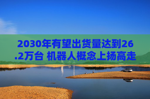 2030年有望出货量达到26.2万台 机器人概念上扬高走，百利科技等多股涨停