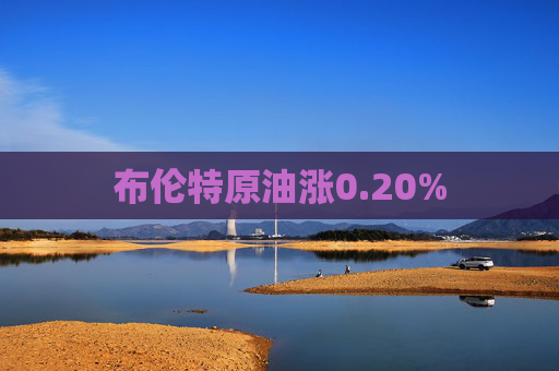 布伦特原油涨0.20%