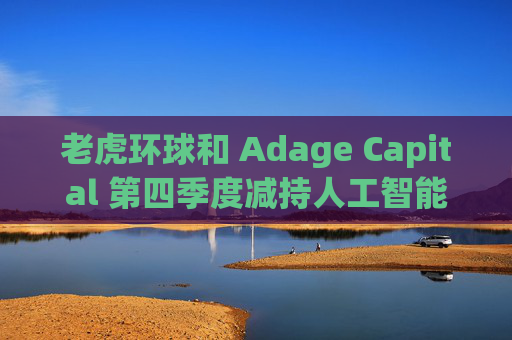 老虎环球和 Adage Capital 第四季度减持人工智能重量级公司股票