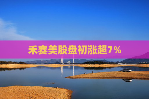 禾赛美股盘初涨超7%