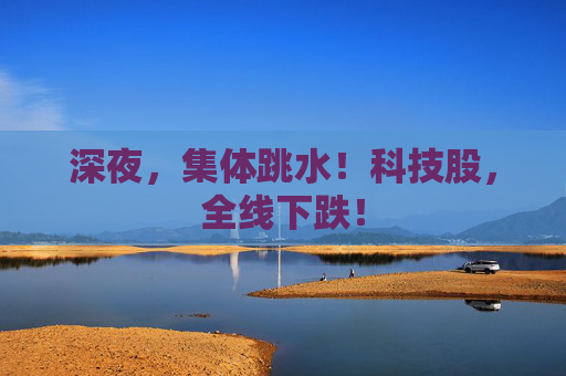 深夜，集体跳水！科技股，全线下跌！