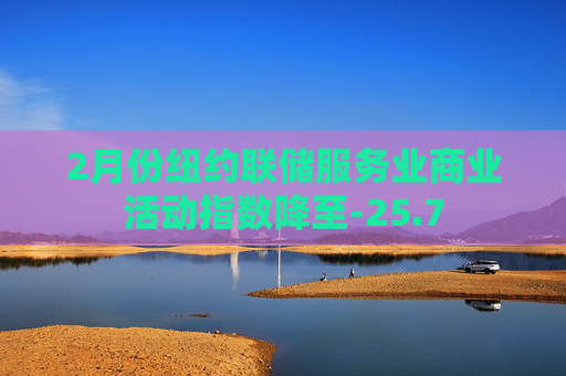 2月份纽约联储服务业商业活动指数降至-25.7