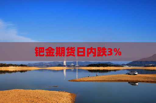 钯金期货日内跌3%