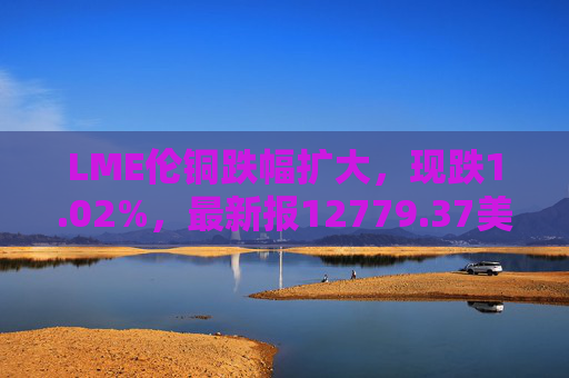 LME伦铜跌幅扩大，现跌1.02%，最新报12779.37美元/吨