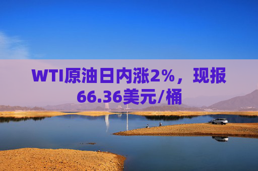 WTI原油日内涨2%，现报66.36美元/桶