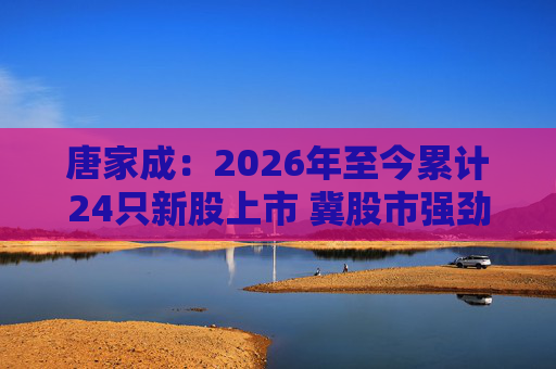 唐家成:2026年至今累计24只新股上市 冀股市强劲气氛延续至整个马年