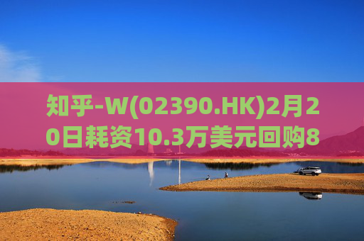 知乎-W(02390.HK)2月20日耗资10.3万美元回购8.76万股