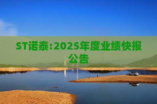 ST诺泰:2025年度业绩快报公告
