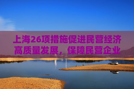 上海26项措施促进民营经济高质量发展，保障民营企业平等参与政府采购