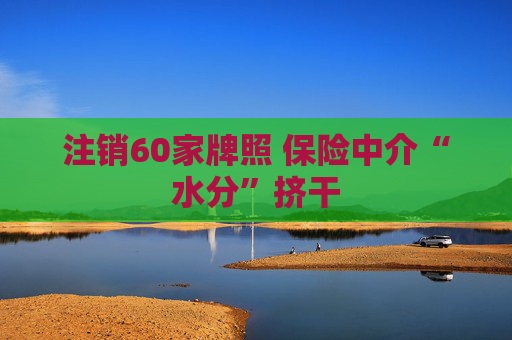 注销60家牌照 保险中介“水分”挤干