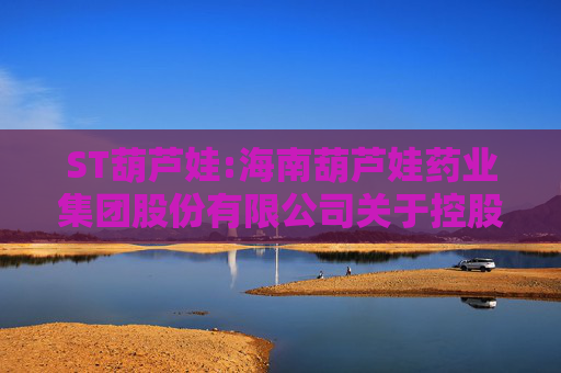 ST葫芦娃:海南葫芦娃药业集团股份有限公司关于控股股东部分股份被司法拍卖的进展公告